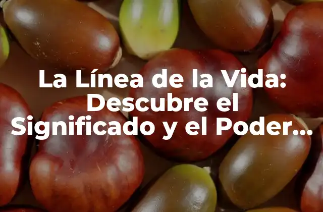 ¿Qué es la Línea de la Vida?