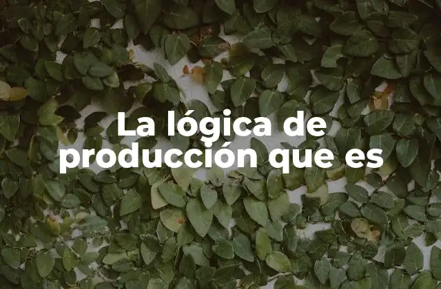 La Lógica de Producción que es