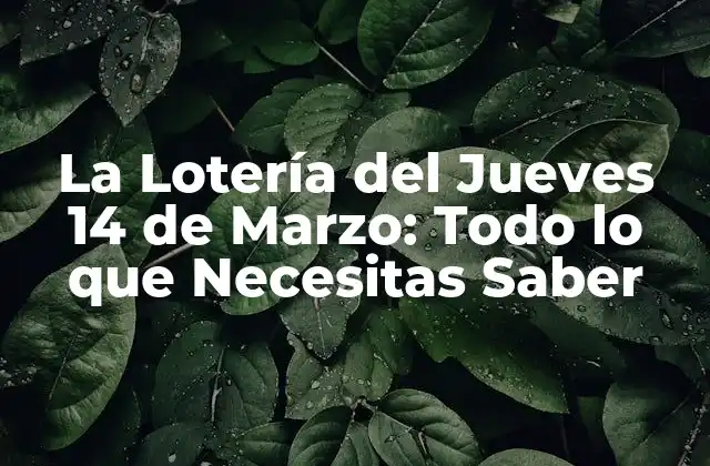 La Lotería Del Jueves 14 de Marzo: Todo Lo que Necesitas Saber