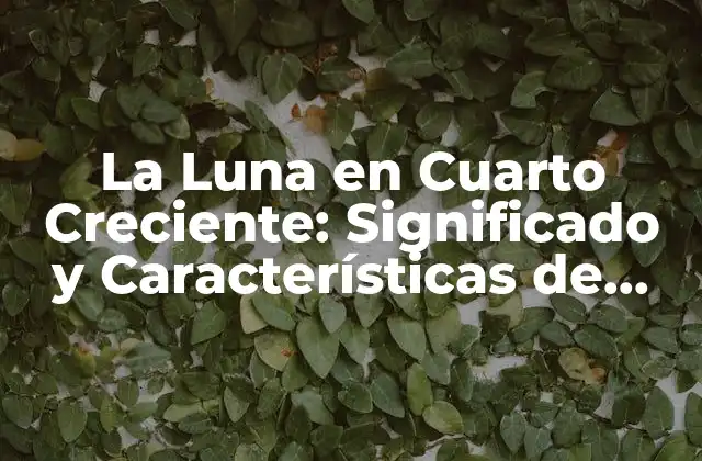 La Luna en Cuarto Creciente: Significado y Características de Esta Fase Lunar