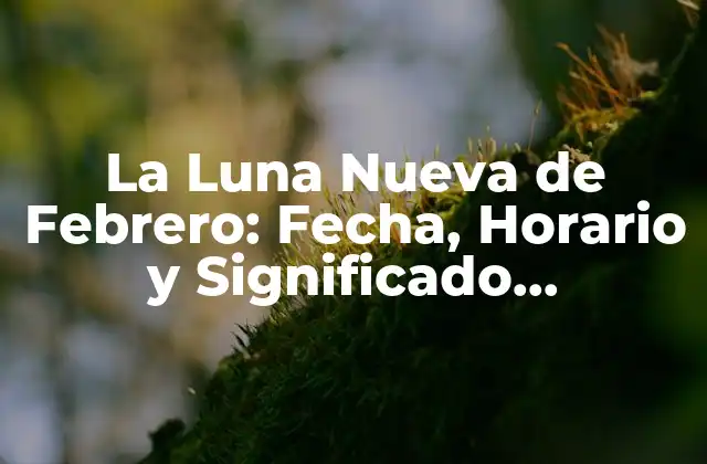 La Luna Nueva de Febrero: Fecha, Horario y Significado Astrologico