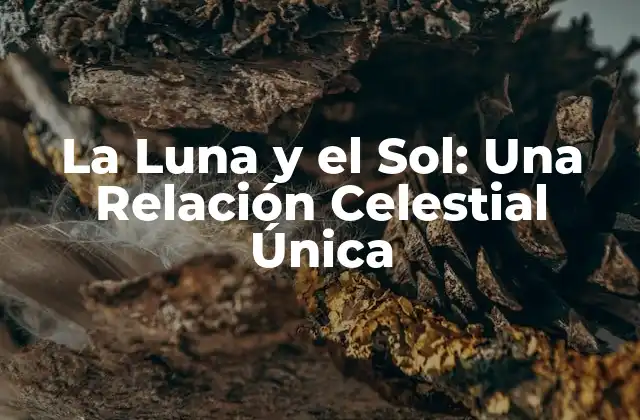 La Luna y el Sol: una Relación Celestial Única