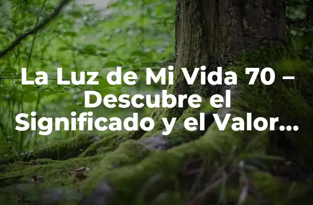 La Luz de Mi Vida 70 – Descubre el Significado y el Valor de Esta Experiencia
