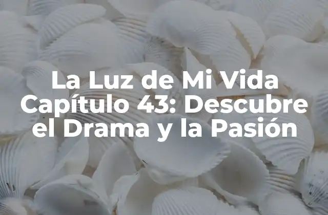 La Luz de Mi Vida Capítulo 43: Descubre el Drama y la Pasión