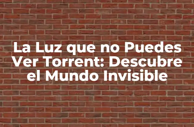La Luz que No Puedes Ver Torrent: Descubre el Mundo Invisible