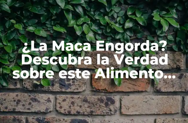 ¿la Maca Engorda? Descubra la Verdad sobre Este Alimento Andino
