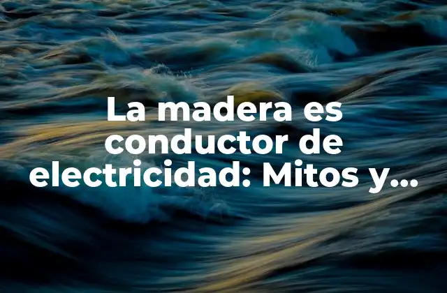 ¿Cuál es la conductividad eléctrica de la madera?