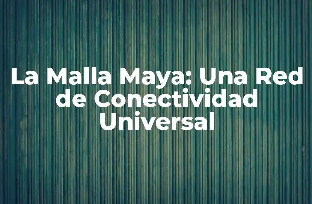 La Malla Maya: una Red de Conectividad Universal