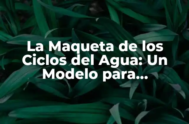 La Maqueta de los Ciclos Del Agua: un Modelo para Comprender el Ciclo Hidrológico