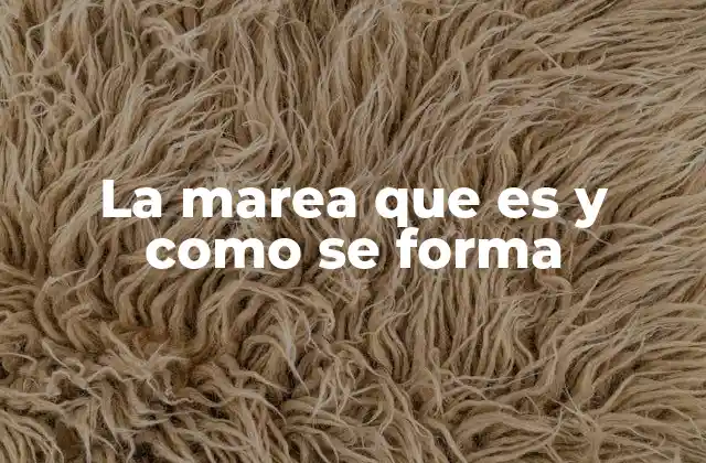 La Marea que es y como Se Forma