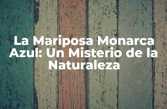 La Mariposa Monarca Azul: un Misterio de la Naturaleza