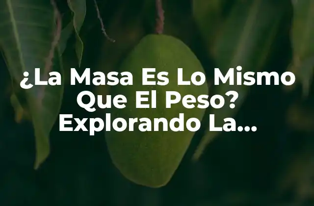 ¿la Masa es Lo Mismo que el Peso? Explorando la Diferencia