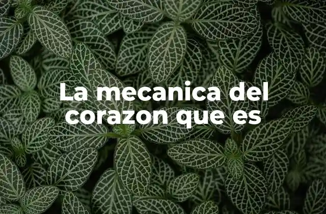 La Mecanica Del Corazon que es