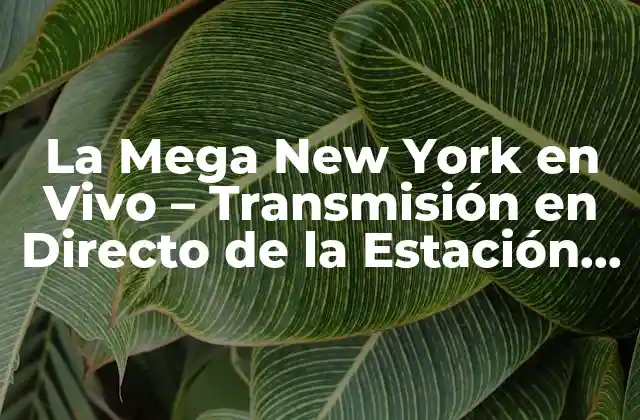 La Mega New York en Vivo – Transmisión en Directo de la Estación de Radio Latinx Más Popular