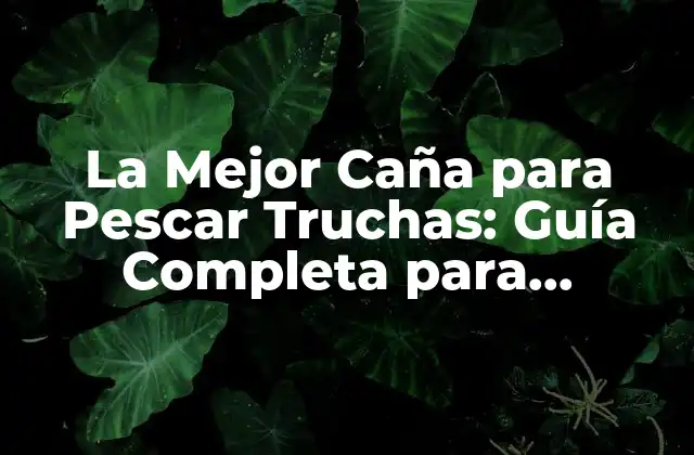 La Mejor Caña para Pescar Truchas: Guía Completa para Principiantes y Expertos