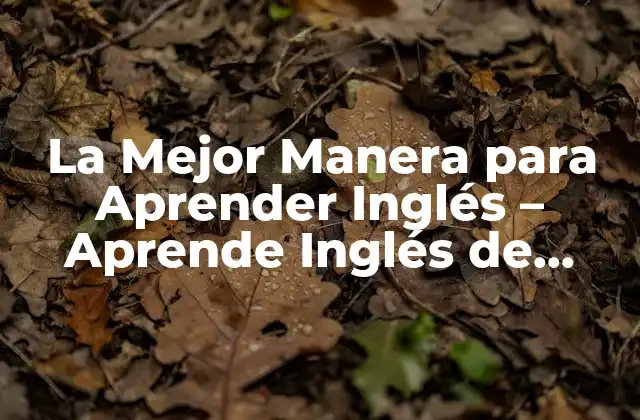 La Mejor Manera para Aprender Inglés – Aprende Inglés de Forma Efectiva