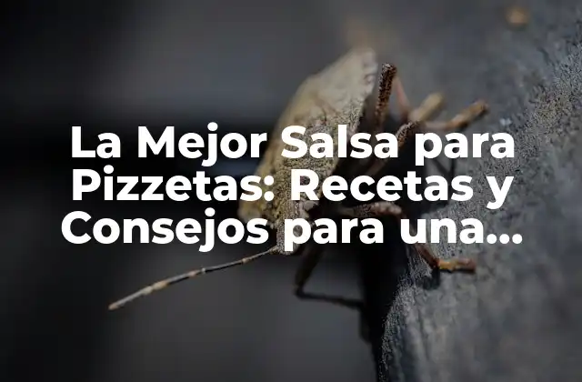 La Mejor Salsa para Pizzetas: Recetas y Consejos para una Fiesta Inolvidable