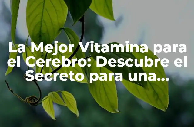 La Mejor Vitamina para el Cerebro: Descubre el Secreto para una Mente Más Fuerte