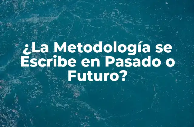 ¿la Metodología Se Escribe en Pasado o Futuro?