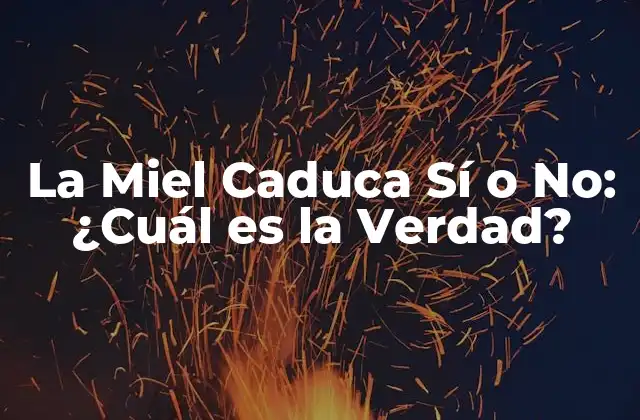 La Miel Caduca Sí o No: ¿cuál es la Verdad? 2 ¿Qué es la Miel?