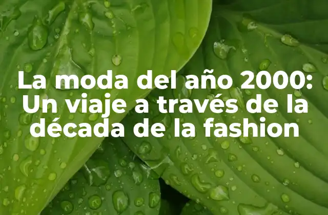 La Moda Del Año 2000: un Viaje a Través de la Década de la Fashion