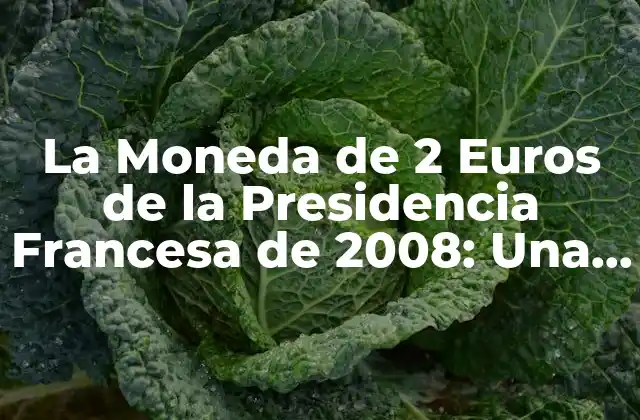 La Moneda de 2 Euros de la Presidencia Francesa de 2008: una Edición Especial