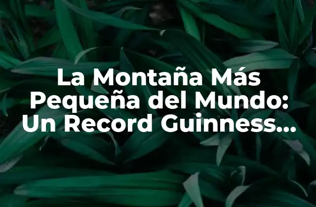 La Montaña Más Pequeña Del Mundo: un Record Guinness Sorprendente