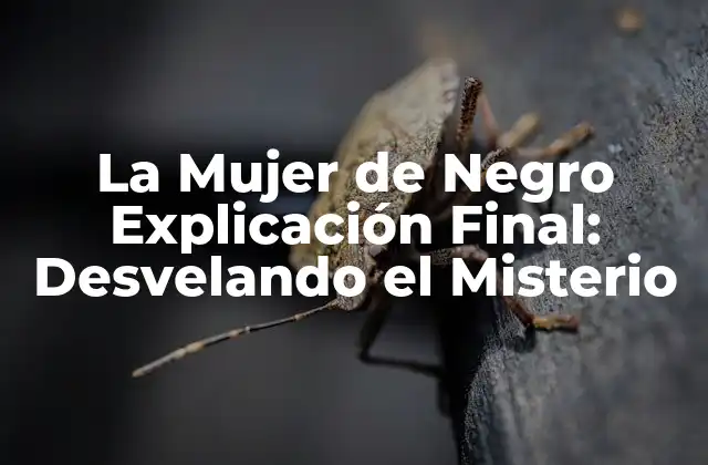 La Mujer de Negro Explicación Final: Desvelando el Misterio