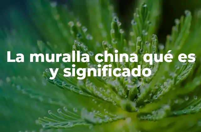 La importancia de la muralla china en la historia china