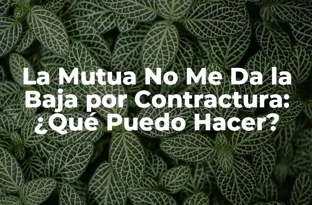 La Mutua No Me Da la Baja por Contractura: ¿qué Puedo Hacer?