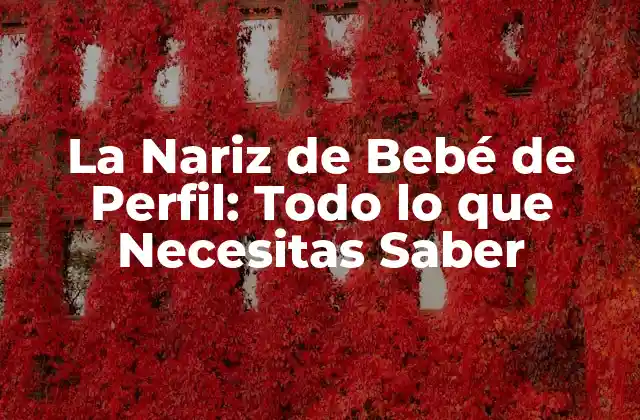 Cómo se Desarrolla la Nariz de Bebé de Perfil