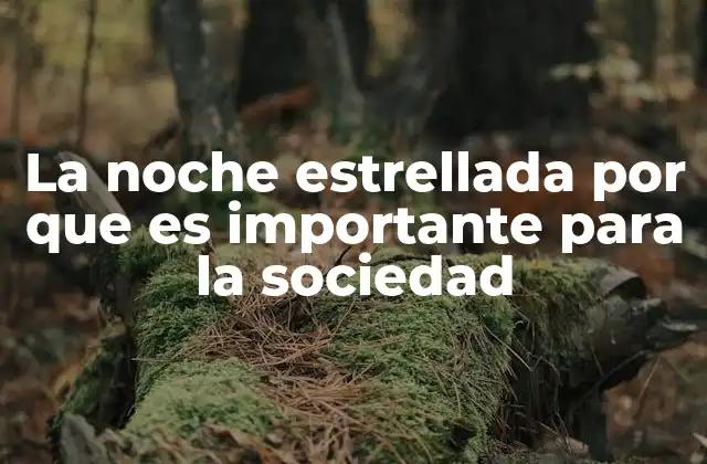 La Noche Estrellada por que es Importante para la Sociedad