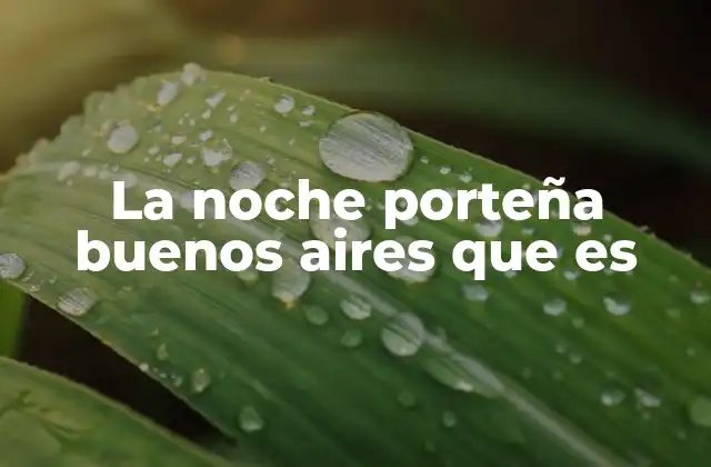 La Noche Porteña Buenos Aires que es