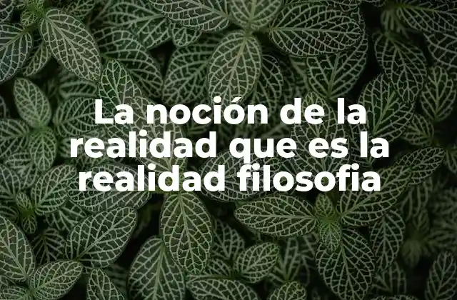 La Noción de la Realidad que es la Realidad Filosofia