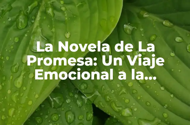 La Novela de la Promesa: un Viaje Emocional a la Identidad y la Cultura