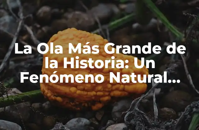 La Ola Más Grande de la Historia: un Fenómeno Natural Impresionante