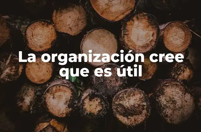 La Organización Cree que es Útil