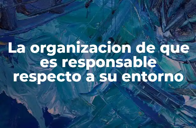 La Organizacion de que es Responsable Respecto a Su Entorno