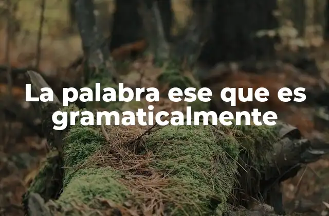 La Palabra Ese que es Gramaticalmente