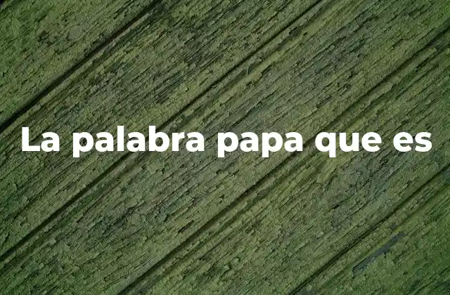 La Palabra Papa que es