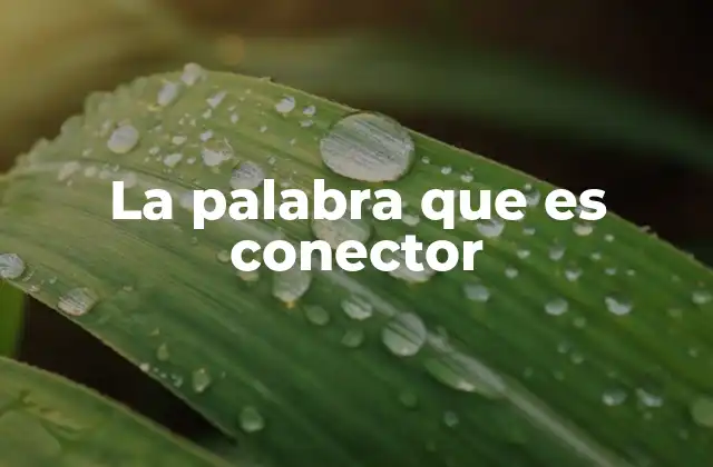 La Palabra que es Conector