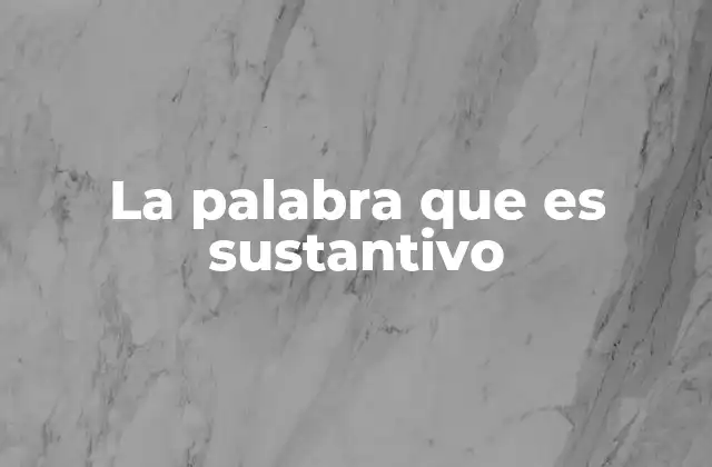 La Palabra que es Sustantivo