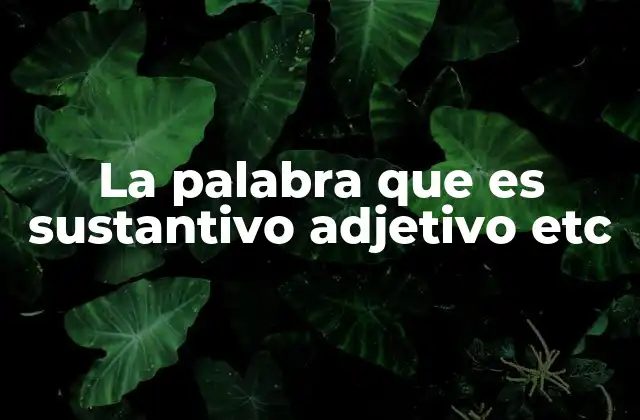 La Palabra que es Sustantivo Adjetivo Etc