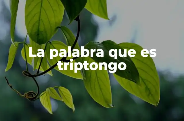 La Palabra que es Triptongo 2 La estructura de las sílabas en el español