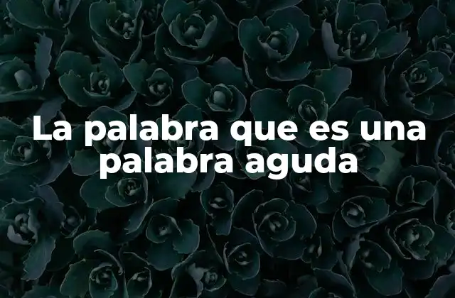 La Palabra que es una Palabra Aguda