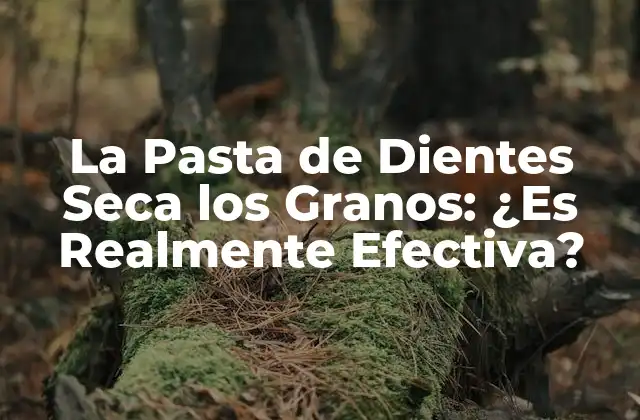 La Pasta de Dientes Seca los Granos: ¿es Realmente Efectiva? 2 ¿Qué Causa la Secura de los Granos?