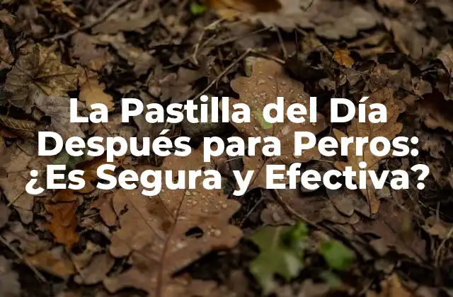 La Pastilla Del Día Después para Perros: ¿es Segura y Efectiva?