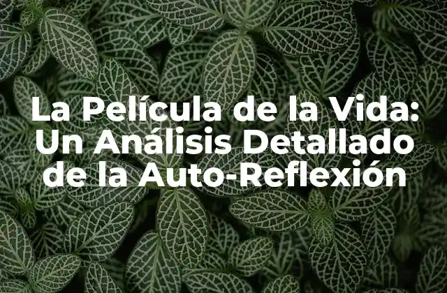 La Película de la Vida: un Análisis Detallado de la Auto-reflexión