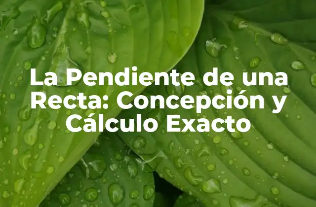 Definición y Interpretación de la Pendiente de una Recta