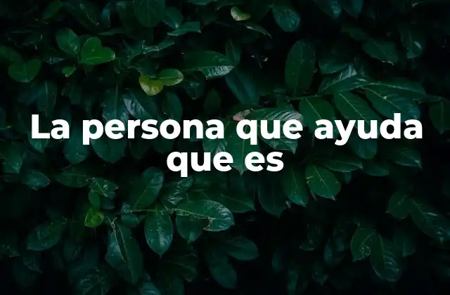 La Persona que Ayuda que es